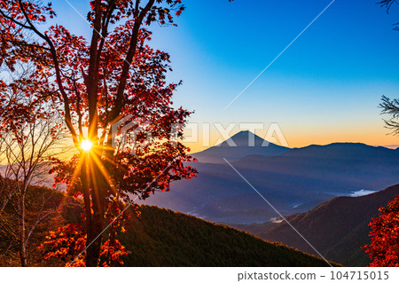 (Yamanashi Prefecture) Mt. Fuji through the autumn leaves of Mt. Kushigata (Yamanashi Prefecture) Mt. Fuji through the autumn leaves of Mt. Kushigata 104715015