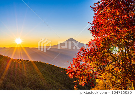 (Yamanashi Prefecture) Mt. Fuji through the autumn leaves of Mt. Kushigata (Yamanashi Prefecture) Mt. Fuji through the autumn leaves of Mt. Kushigata 104715020