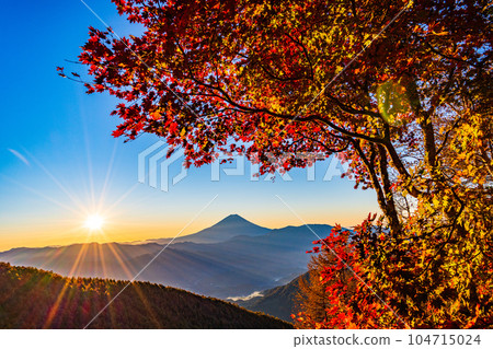 (Yamanashi Prefecture) Mt. Fuji through the autumn leaves of Mt. Kushigata (Yamanashi Prefecture) Mt. Fuji through the autumn leaves of Mt. Kushigata 104715024