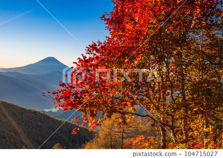 (Yamanashi Prefecture) Mt. Fuji through the autumn leaves of Mt. Kushigata (Yamanashi Prefecture) Mt. Fuji through the autumn leaves of Mt. Kushigata 104715027
