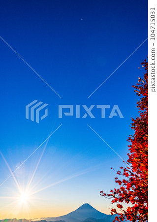 (Yamanashi Prefecture) Mt. Fuji through the autumn leaves of Mt. Kushigata (Yamanashi Prefecture) Mt. Fuji through the autumn leaves of Mt. Kushigata 104715031