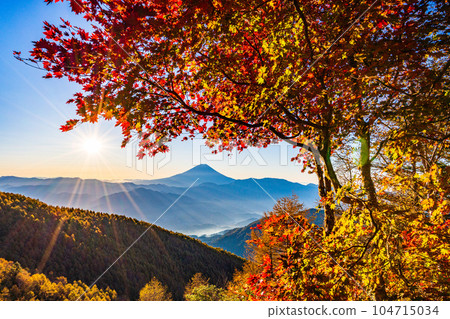 (Yamanashi Prefecture) Mt. Fuji through the autumn leaves of Mt. Kushigata (Yamanashi Prefecture) Mt. Fuji through the autumn leaves of Mt. Kushigata 104715034
