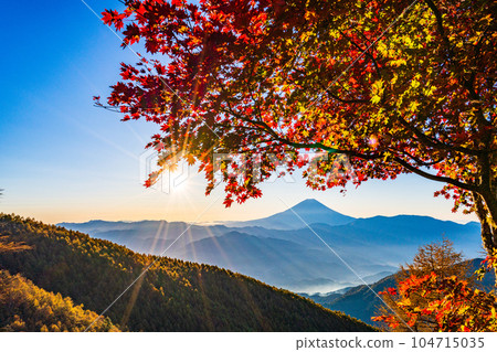 (Yamanashi Prefecture) Mt. Fuji through the autumn leaves of Mt. Kushigata (Yamanashi Prefecture) Mt. Fuji through the autumn leaves of Mt. Kushigata 104715035