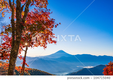 (Yamanashi Prefecture) Mt. Fuji through the autumn leaves of Mt. Kushigata (Yamanashi Prefecture) Mt. Fuji through the autumn leaves of Mt. Kushigata 104715040