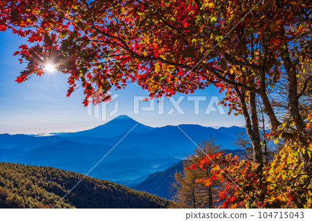 (Yamanashi Prefecture) Mt. Fuji through the autumn leaves of Mt. Kushigata (Yamanashi Prefecture) Mt. Fuji through the autumn leaves of Mt. Kushigata 104715043