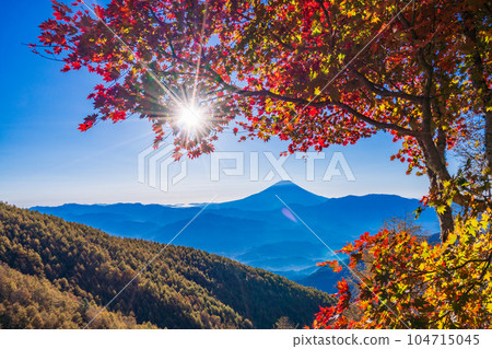 (Yamanashi Prefecture) Mt. Fuji through the autumn leaves of Mt. Kushigata 104715045
