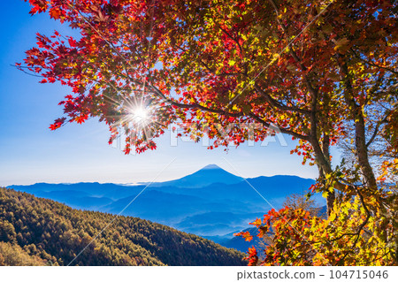 (Yamanashi Prefecture) Mt. Fuji through the autumn leaves of Mt. Kushigata 104715046