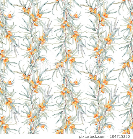 Pattern with orange sea buckthorn. Sea buckthorn for healthy life and design background. Hand painted. Botanical natural. Seamless pattern, an illustration for postcards, posters, textile design. Pattern with orange sea buckthorn. Sea buckthorn for healthy life and design background. Hand painted. Botanical natural. Seamless pattern, an illustration for postcards, posters, textile design. 104715230