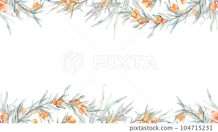 Sea buckthorn frame. Watercolor illustration. On a white background. For cosmetology, pharmaceuticals, food industry. Decorative element for greeting card. Nature clipart for decoration, desig Sea buckthorn frame. Watercolor illustration. On a white background. For cosmetology, pharmaceuticals, food industry. Decorative element for greeting card. Nature clipart for decoration, desig 104715231