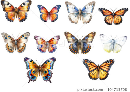 Safari Animal set butterflies of different species in watercolor style. Isolated flat vector illustration 104715708