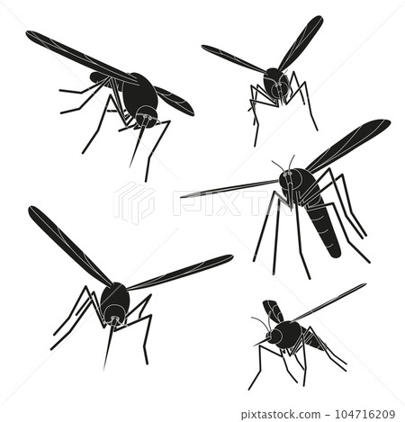Flying mosquitoes on a white background. Flying mosquitoes on a white background. 104716209