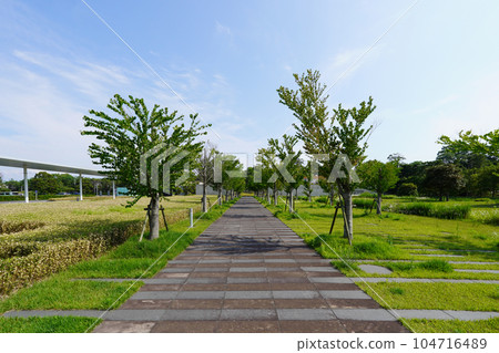 Shimane Prefectural Museum of Ancient Izumo History (Izumo City, Shimane Prefecture) 104716489
