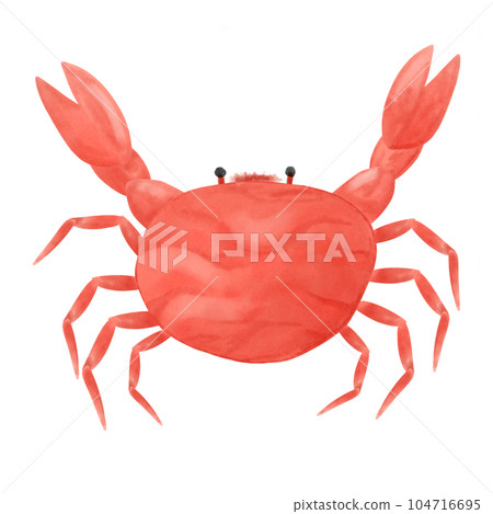steamed crab on the beach hand draw steamed crab on the beach hand draw 104716695