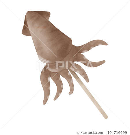 grilled squid from Japanese temple fair on summer hand draw 104716699