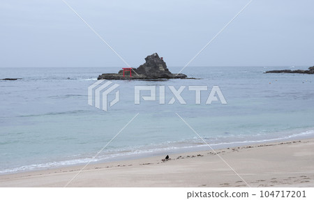 勝浦市內散步 104717201