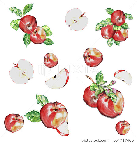 watercolor set. a red, juicy, ripe apple. for the design of postcards, packages 104717460