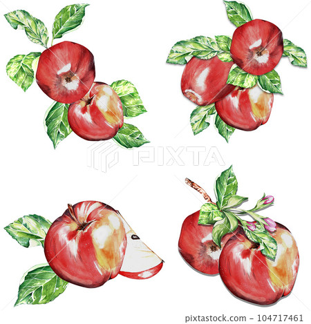 watercolor set. a red, juicy, ripe apple. for the design of postcards, packages 104717461