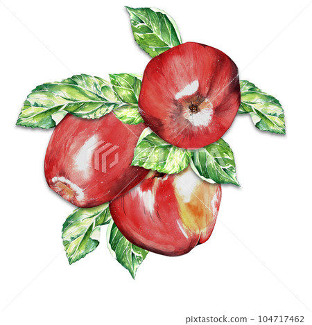watercolor set. a red, juicy, ripe apple. for the design of postcards, packages 104717462