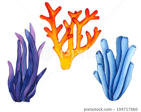 Watercolor illustrations blue and violet seaweed, red coral reef and underwater plants. Hand painted botanical clip art sea grass for kids print, decoration and design Watercolor illustrations blue and violet seaweed, red coral reef and underwater plants. Hand painted botanical clip art sea grass for kids print, decoration and design 104717860