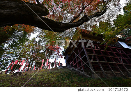 Fall foliage of Mount Oji Makikirai Inari 104718470