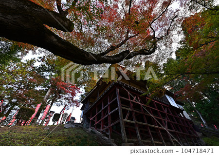 王子山牧野稻荷的紅葉 王子山牧野稻荷的紅葉 104718471