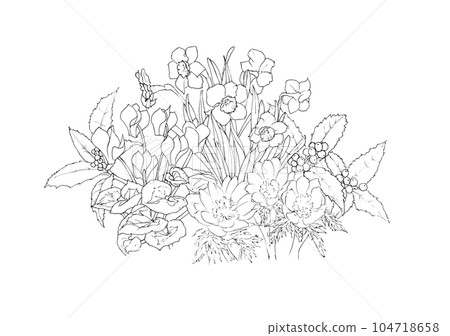 Yosebana sketch line drawing Yosebana sketch line drawing 104718658
