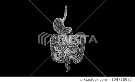 3D stomach and intestines on black bg. The human digestive system. Scientific medical concept. For title, text, presentation. Object dissolved flickering particles. 3d animation. 3D stomach and intestines on black bg. The human digestive system. Scientific medical concept. For title, text, presentation. Object dissolved flickering particles. 3d animation. 104718985