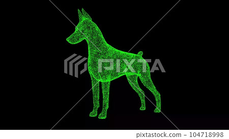 3D dog Doberman on black background. Object made of shimmering particles. Pets care concept. For title, text, presentation. 3d animation. 104718998