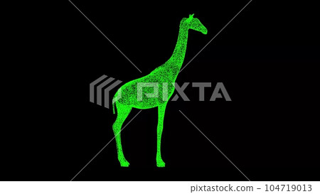 3D giraffe on black background. Object made of shimmering particles. Wild animals concept. Protection of the environment. For title, text, presentation. 3d animation. 104719013