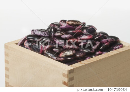 紫色花豆 104719084