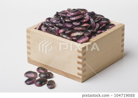 紫色花豆 紫色花豆 104719088