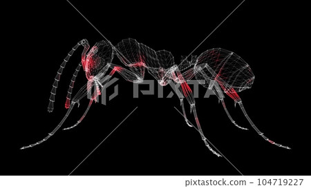 Spread of virus through 3D body of insects on black background. Spread of infection by animals and insects. Visual demonstration of virus in the body. Science Medical concept. 3D animation. 104719227