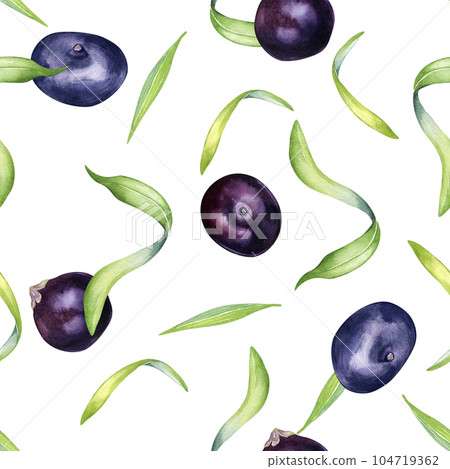 Acai berries and palm leaves watercolor seamless pattern isolated on white. Exotic amazon small purple berries, tropical fruit hand drawn. Design for packaging, wrapping, textile, background, paper 104719362
