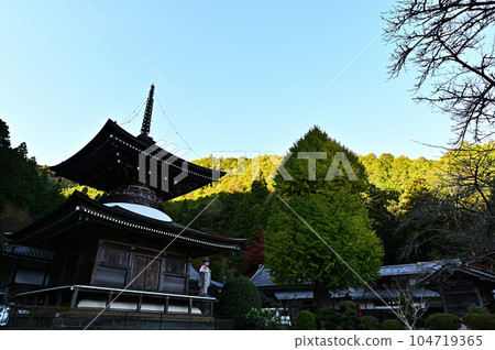 秋天的宇土觀音 104719365