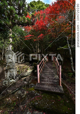 竹野山山谷的秋葉 104720190