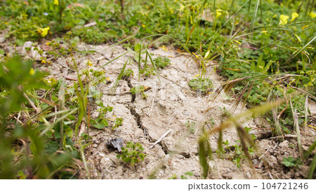 Barren and cracked ground due to lack of water Barren and cracked ground due to lack of water 104721246