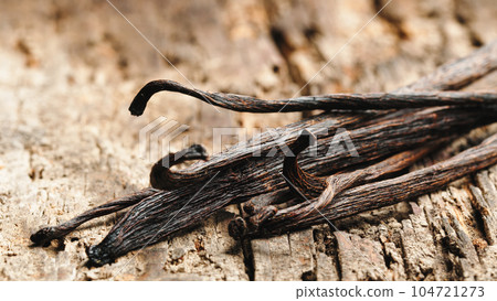 Precious vanilla pods of tropical origin Precious vanilla pods of tropical origin 104721273