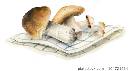 Forest brown edible mushrooms boletus harvest on kitchen towel watercolor illustration isolated on white background. For cookbook, recipes, wrapping, autumn food festival 104721414