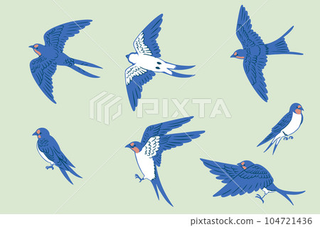 hand drawn retro hand drawn swallow line drawing illustration set 104721436