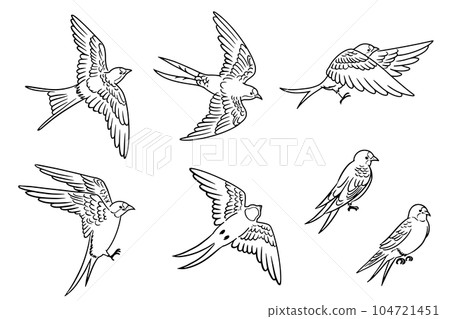 Hand-drawn swallow line drawing illustration set_monochrome 104721451