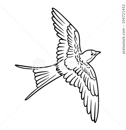 Hand drawn line drawing illustration of a flying swallow_monochrome 104721452