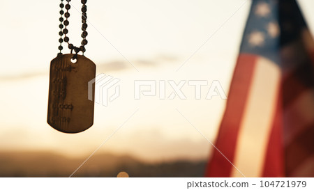 Silhouette of military metallic plate against memorial day american flag Silhouette of military metallic plate against memorial day american flag 104721979