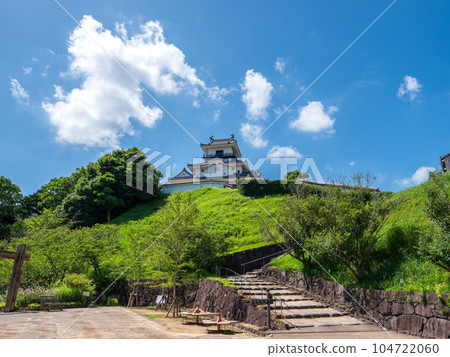 夏季藍天和掛川城守,靜岡縣掛川市 夏季藍天和掛川城守,靜岡縣掛川市 104722060