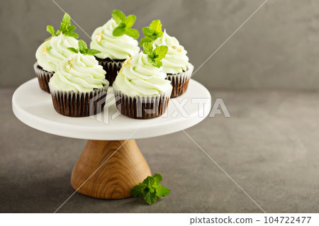 Chocolate mint cupcakes with green frosting 104722477