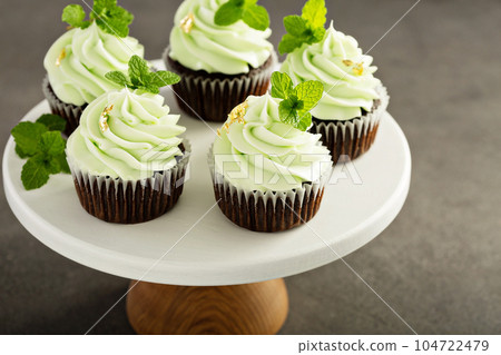Chocolate mint cupcakes with green frosting 104722479