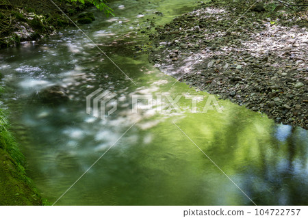 When the moss-covered forest is fresh green When the moss-covered forest is fresh green 104722757