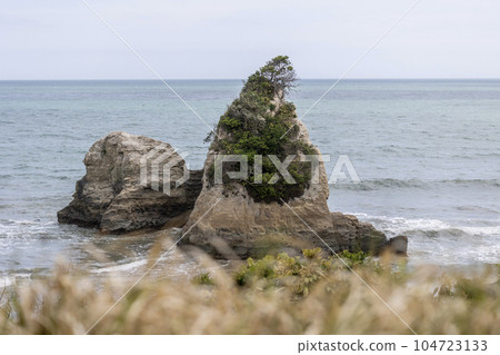 茨城縣日立市東名川海灘綠色地區的橡皮糖島 茨城縣日立市東名川海灘綠色地區的橡皮糖島 104723133