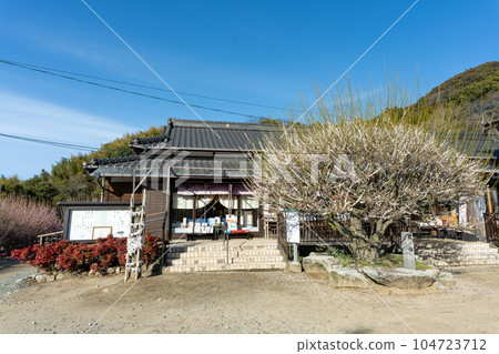 White plum blossoms and the main hall, a tourist attraction with a 450-year-old Garyubai tree, Fukoji Temple, Omuta City, Fukuoka Prefecture White plum blossoms and the main hall, a tourist attraction with a 450-year-old Garyubai tree, Fukoji Temple, Omuta City, Fukuoka Prefecture 104723712