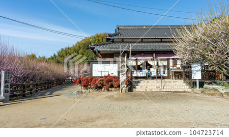 本堂一景:福岡縣大牟田市風光寺,樹齡超過450年的旅遊景點“臥龍梅樹” 本堂一景:福岡縣大牟田市風光寺,樹齡超過450年的旅遊景點“臥龍梅樹” 104723714