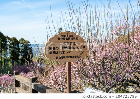 Garyubai Guide: Over 450-year-old Garyubai Tourist Spot, Fukoji Temple, Omuta City, Fukuoka Prefecture Garyubai Guide: Over 450-year-old Garyubai Tourist Spot, Fukoji Temple, Omuta City, Fukuoka Prefecture 104723789